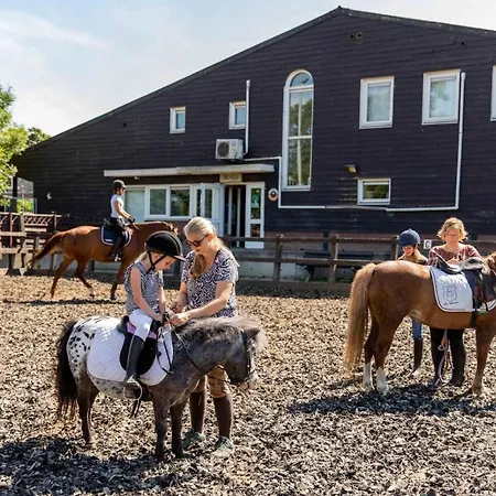 Pdij Deluxe 6 Personen Feriested